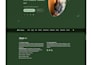 design portfolio website for youto showcase your work